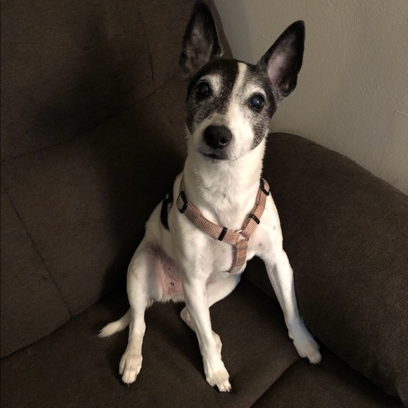 Hi! I’m Meghan! - Picture 2 of 2